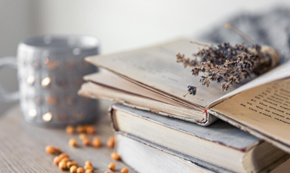 Biblioteca contemplativa